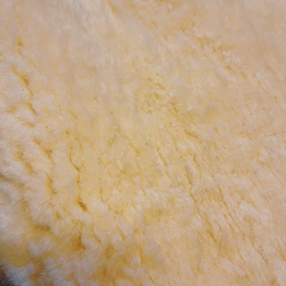 Premium Australian Sheepskin Rug 100×63cm Short Wool Ivory White