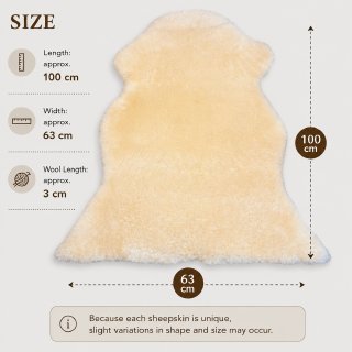 Premium Australian Sheepskin Rug 100×63cm Short Wool Ivory White